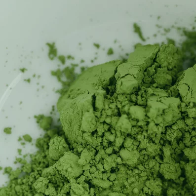 Nahaufname getrockneter Efeu-Spezial-Extrakt EA 575<sup>®</sup>